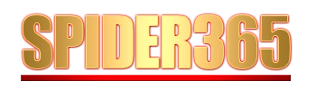 Logo Spider365